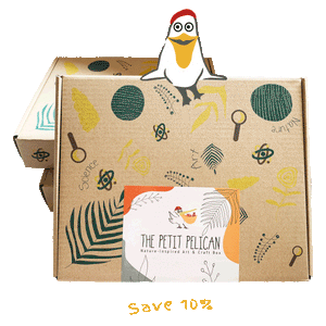 The Petit Pelican Art & Science Activity Box for Kids - Subscription 3 boxes